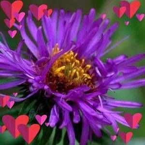 Meet your Posher, Renee